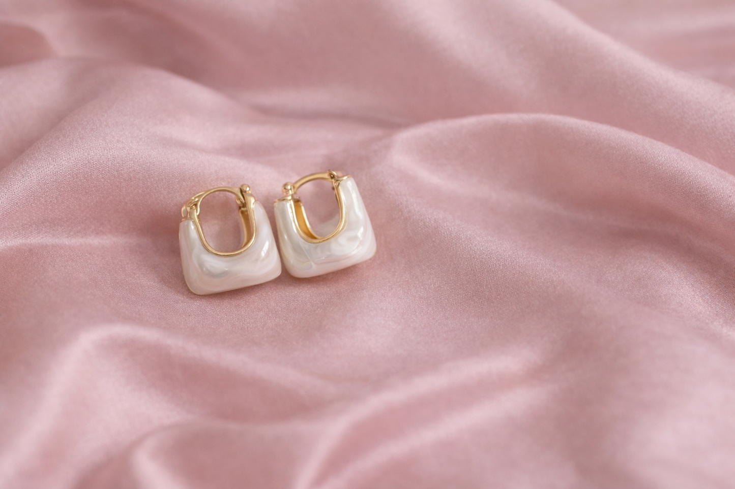 Cute handbag Earrings