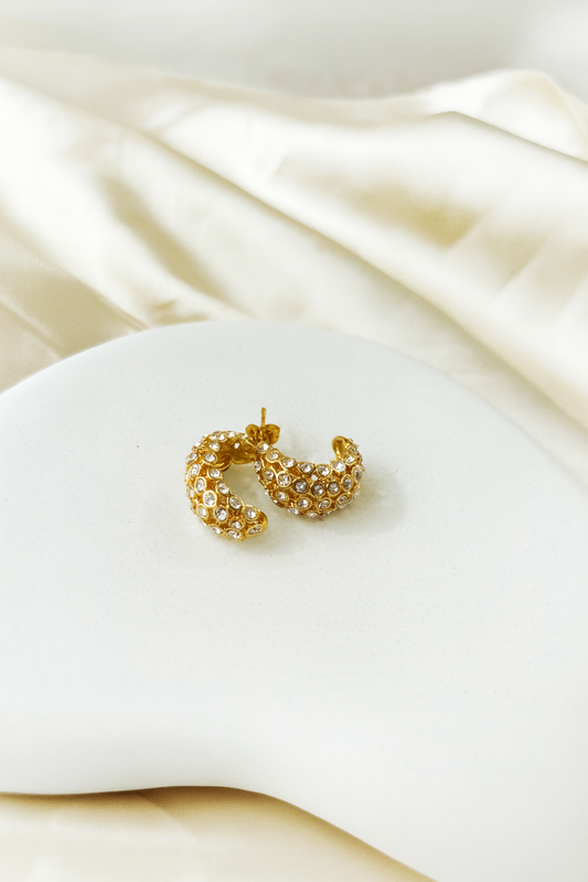 Moonlit Charm Earrings